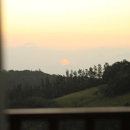 Hotel Bosque Verde Lodge Monteverde Rom bilde