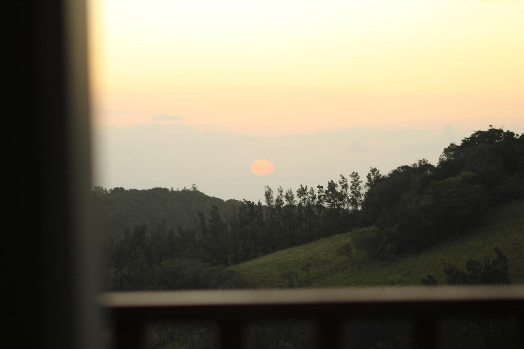 Hotel Bosque Verde Lodge Monteverde Rom bilde