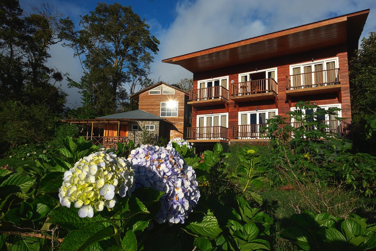 Hotel Bosque Verde Lodge Monteverde Rom bilde