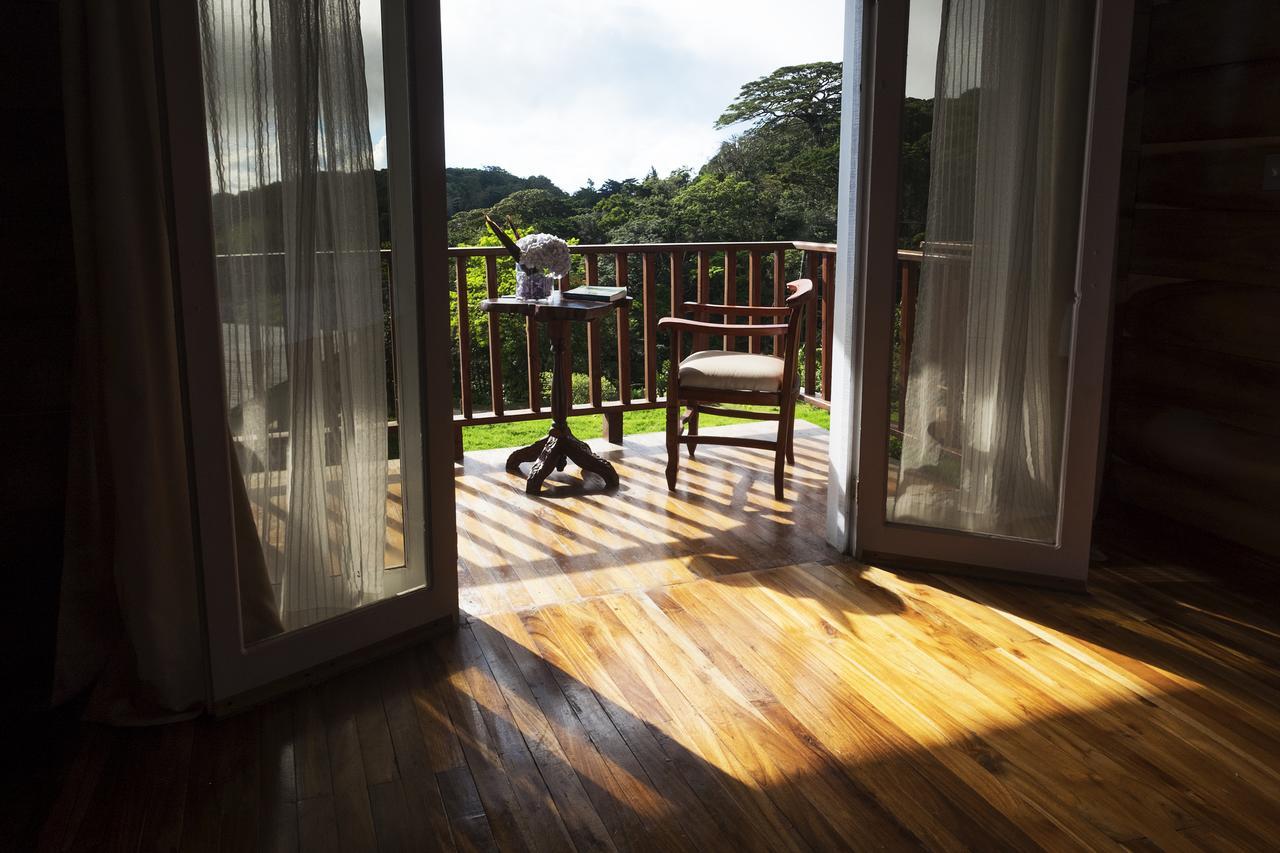 Hotel Bosque Verde Lodge Monteverde Eksteriør bilde