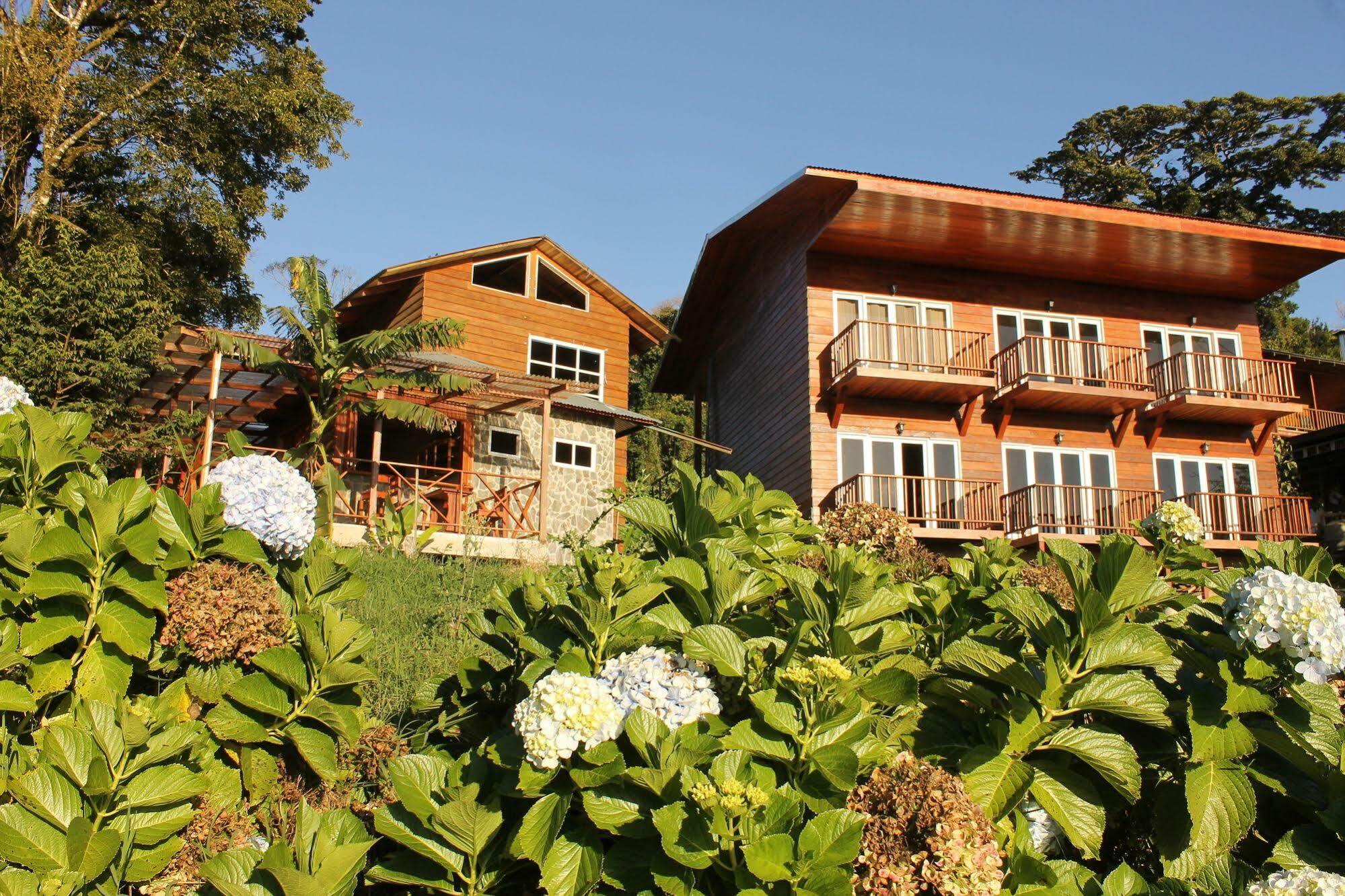 Hotel Bosque Verde Lodge Monteverde Eksteriør bilde