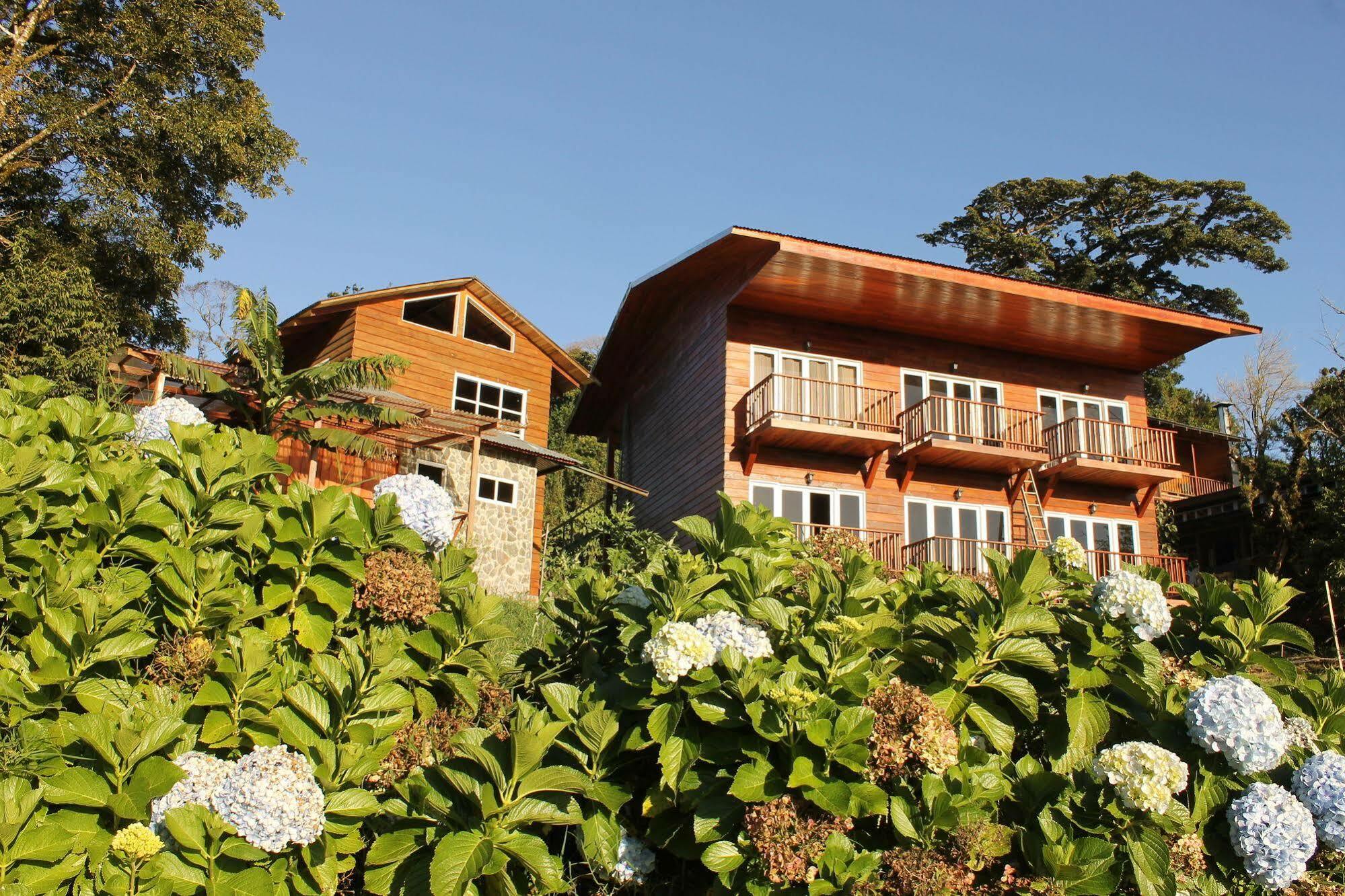 Hotel Bosque Verde Lodge Monteverde Eksteriør bilde