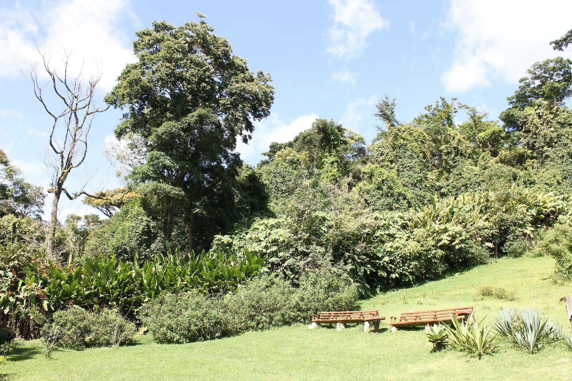 Hotel Bosque Verde Lodge Monteverde Eksteriør bilde