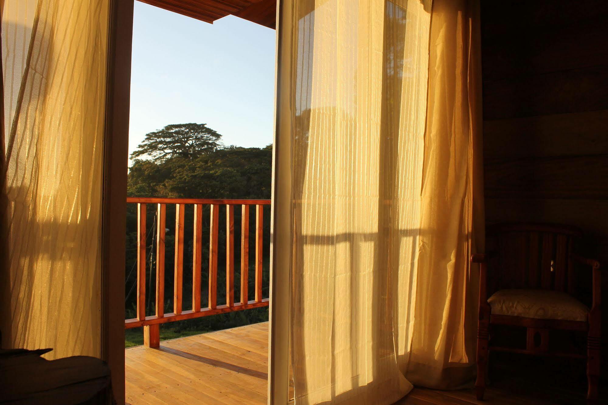 Hotel Bosque Verde Lodge Monteverde Eksteriør bilde