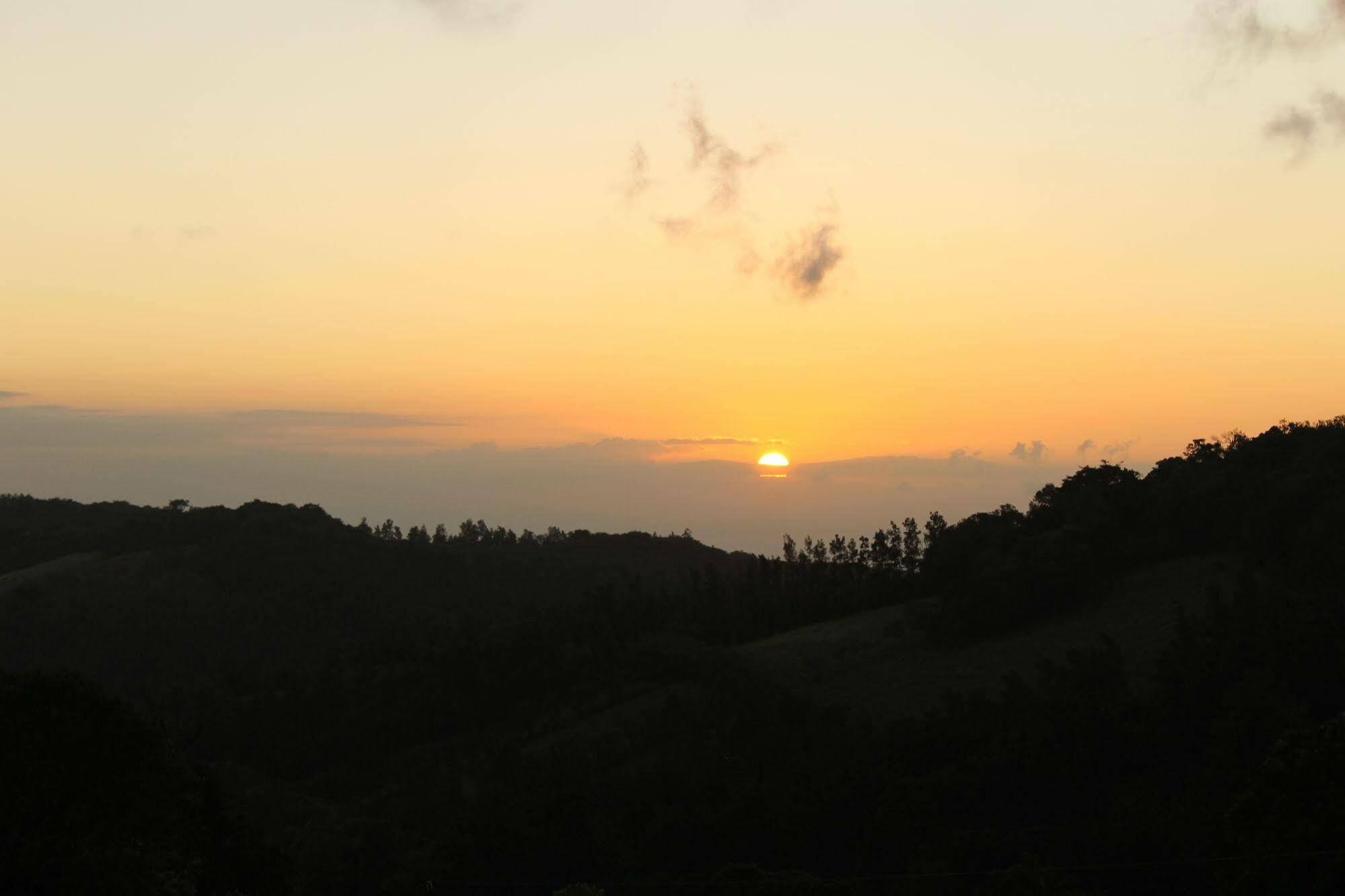Hotel Bosque Verde Lodge Monteverde Eksteriør bilde